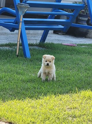 알 수 없음님의 자유주제 · 자유게시판 작성글 사진