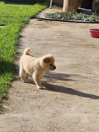알 수 없음님의 자유주제 · 자유게시판 작성글 사진