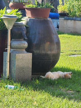 알 수 없음님의 자유주제 · 자유게시판 작성글 사진