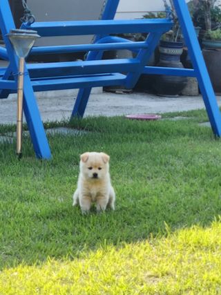 알 수 없음님의 자유주제 · 자유게시판 작성글 사진