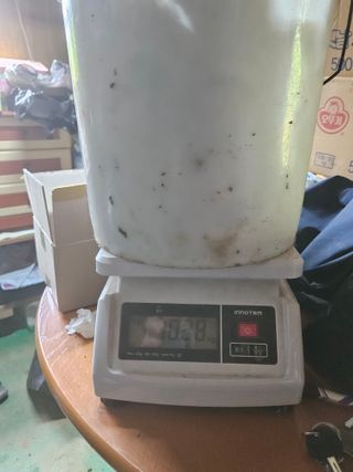 이영재님의 감자 · 자유게시판 작성글 사진