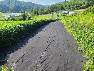 홍천산채농원님의 기타작물 · 자유게시판 작성글 사진