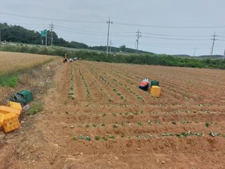 농촌의지킴님의 자유주제 · 자유게시판 작성글 사진