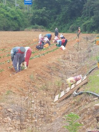 농촌의지킴님의 자유주제 · 자유게시판 작성글 사진