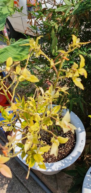 맑음님의 자유주제 · 자유게시판 작성글 사진