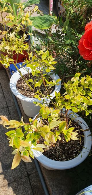 맑음님의 자유주제 · 자유게시판 작성글 사진