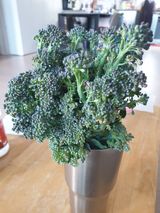 팜모닝 양배추·자유게시판 게시글 이미지