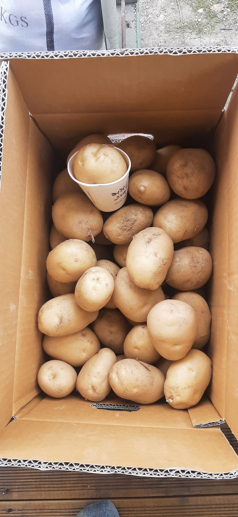 장터 상품 [수미감자 10kg] 썸네일