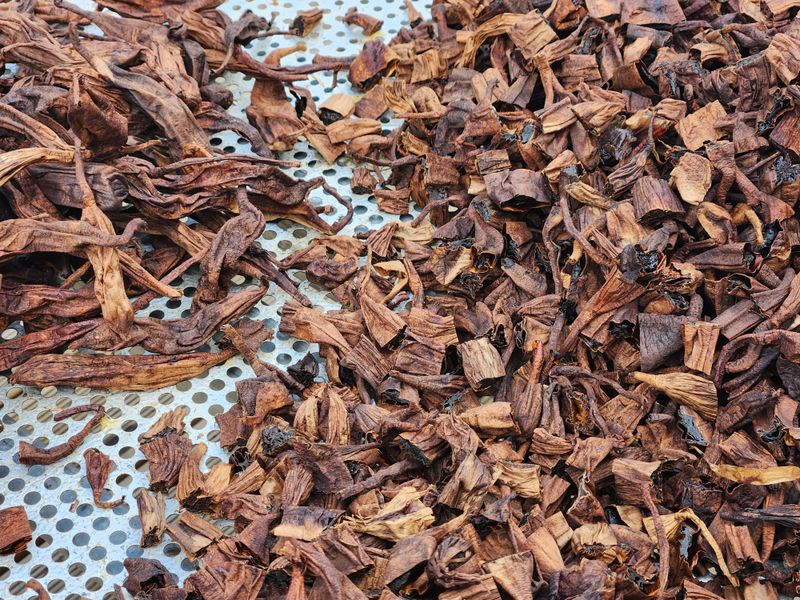 이창신님의 장터 판매 상품 [흑천문동차200g] 첨부 사진