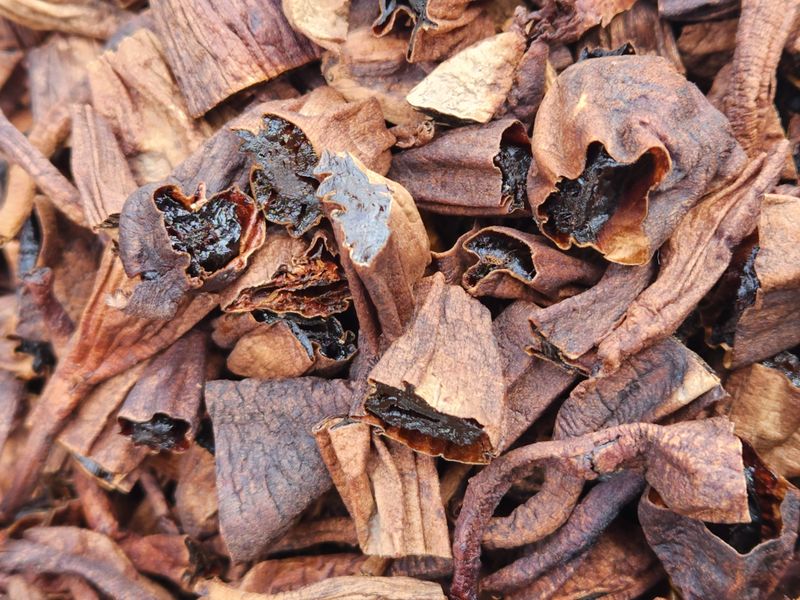 이창신님의 장터 판매 상품 [흑천문동차200g] 첨부 사진