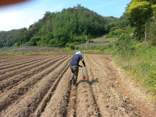 이성수님의 콩 · 자유게시판 작성글 사진