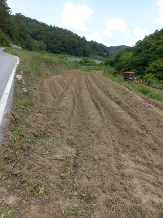 이성수님의 콩 · 자유게시판 작성글 사진