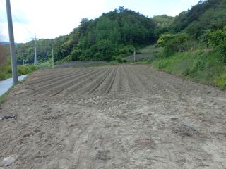 이성수님의 콩 · 자유게시판 작성글 사진