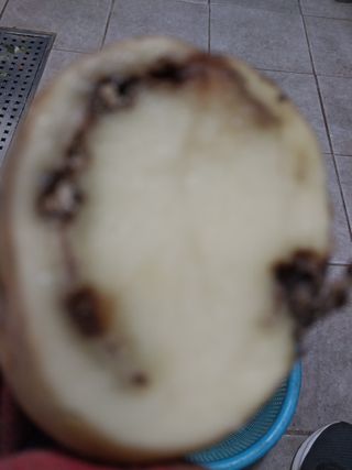 남기하님의 감자 · 병해충상담 작성글 사진