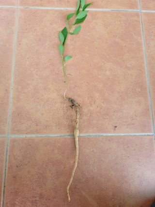 열정농원님의 자유주제 · 자유게시판 작성글 사진