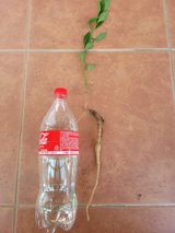 팜모닝 자유주제·자유게시판 게시글 이미지