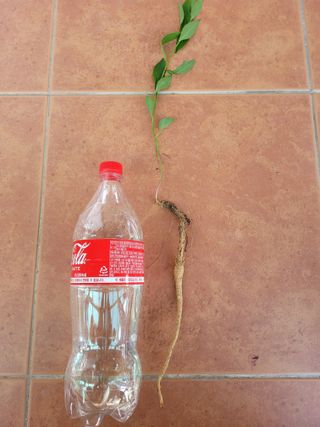 열정농원님의 자유주제 · 자유게시판 작성글 사진