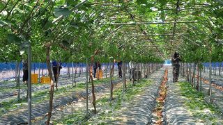 이병관님의 자유주제 · 자유게시판 작성글 사진