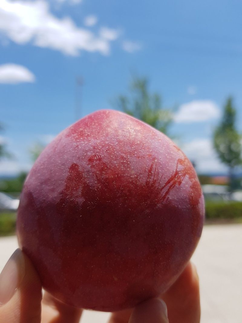 프룻하늬님의 장터 판매 상품 [최상품 도담 자두 2kg, 3kg] 첨부 사진