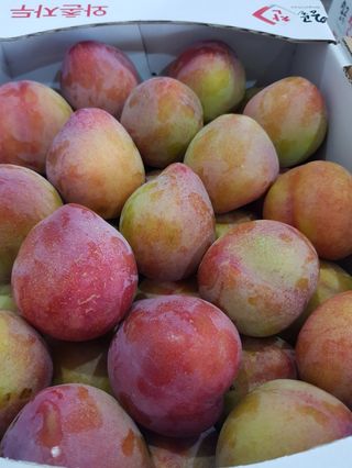 프룻하늬님의 작성글 사진