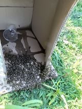 팜모닝 자유주제·자유게시판 게시글 이미지