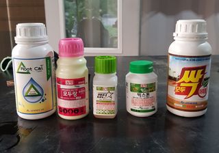 속초골낭만농부 봉무님의 농부님! 어떤 농약 쓰세요? · 참여 작성글 사진