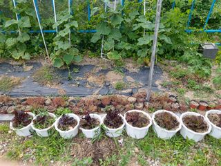 강미화님의 기타작물 · 자유게시판 작성글 사진