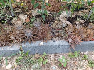 강미화님의 기타작물 · 자유게시판 작성글 사진