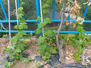 강미화님의 기타작물 · 자유게시판 작성글 사진