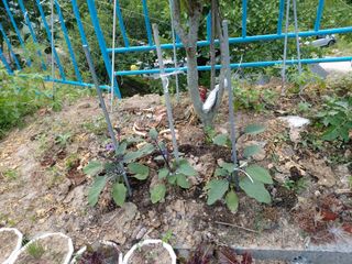 강미화님의 기타작물 · 자유게시판 작성글 사진