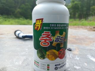 박동준님의 고추 · 영농일지 작성글 사진