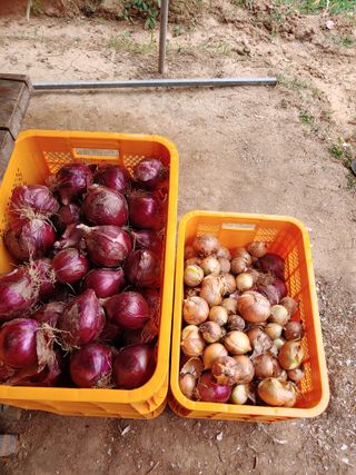 블루아이스님의 자유주제 · 자유게시판 작성글 사진