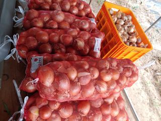 블루아이스님의 자유주제 · 자유게시판 작성글 사진