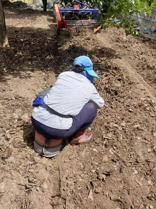 고두윤님의 기타작물 · 자유게시판 작성글 사진