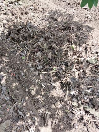 고두윤님의 기타작물 · 자유게시판 작성글 사진