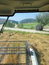 팜모닝 자유주제·자유게시판 게시글 이미지