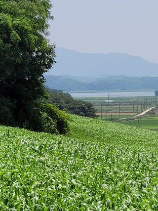 권석민님의 자유주제 · 자유게시판 작성글 사진