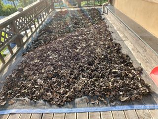 강미화님의 기타작물 · 자유게시판 작성글 사진