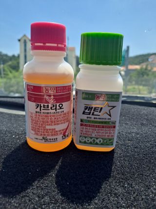 강정례님의 농부님! 어떤 농약 쓰세요?·참여 작성글 사진