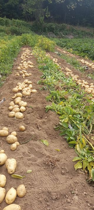 고병길님의 자유주제 · 자유게시판 작성글 사진