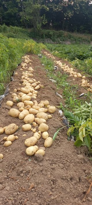 고병길님의 자유주제 · 자유게시판 작성글 사진