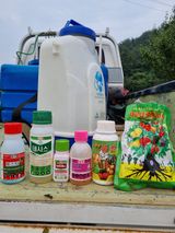 팜모닝 농부님! 어떤 농약 쓰세요?·참여 게시글 이미지