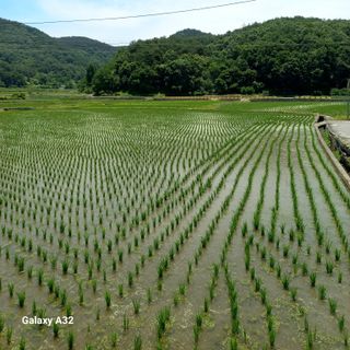 조준제님의 우리동네 · 동네자랑 작성글 사진