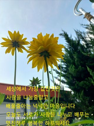 조준제님의 우리동네 · 동네자랑 작성글 사진