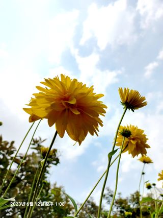 조준제님의 우리동네 · 동네자랑 작성글 사진