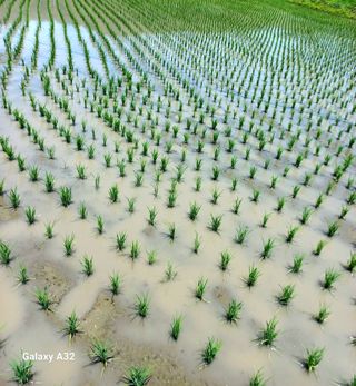 조준제님의 우리동네 · 동네자랑 작성글 사진