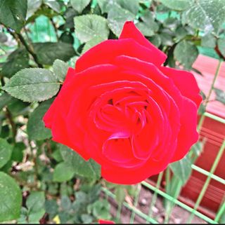 조준제님의 우리동네 · 동네자랑 작성글 사진