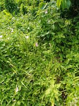 팜모닝 매일매일 농사공부·자유게시판 게시글 이미지