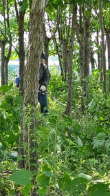 팜모닝 기타작물·영농일지 게시글 이미지