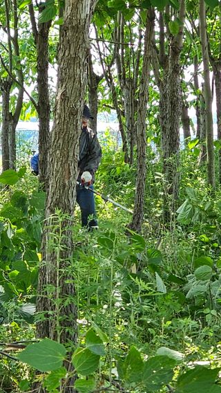 늘푸름(심영보)님의 기타작물 · 영농일지 작성글 사진